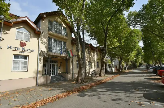 Hotel Platn Szkesfehrvr - Nyugdjas kedvezmnyes rak nelltssal (1 jtl)