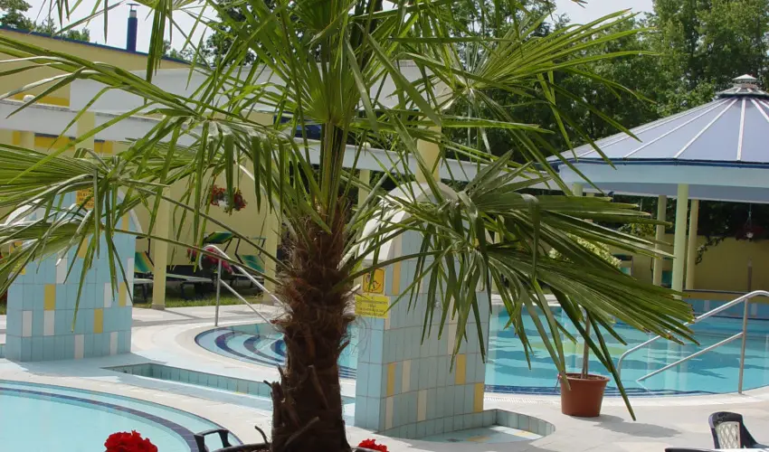 Hotel Rudolf Hajdúszoboszló - Nyugdíjas kedvezményes árak félpanziós ellátással - teljes előrefizetéssel (1 éjtől)