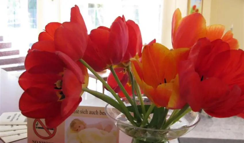 Sante Hvz Hvz - Nyugdjas kedvezmnyes rak reggelis elltssal (1 jtl)