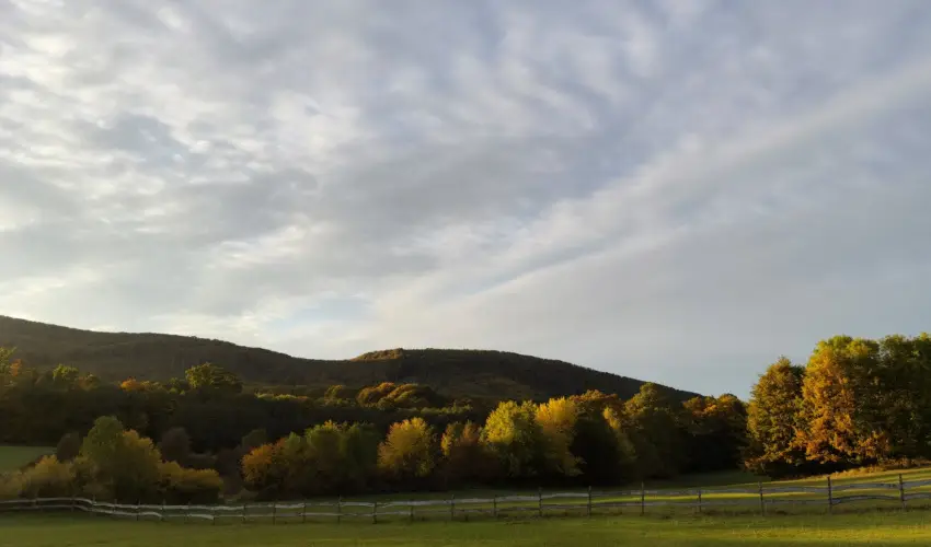 Hotel Sz�palma Porva-Sz�palmapuszta - Nyugd�jas kedvezm�nyes �rak (1 �jt�l)