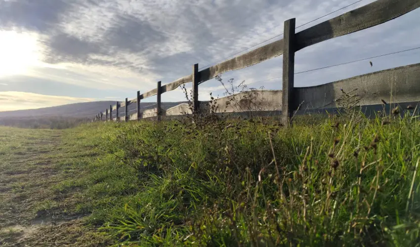 Hotel Sz�palma Porva-Sz�palmapuszta - Nyugd�jas kedvezm�nyes �rak (1 �jt�l)