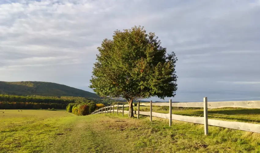 Hotel Sz�palma Porva-Sz�palmapuszta - Nyugd�jas kedvezm�nyes �rak (1 �jt�l)