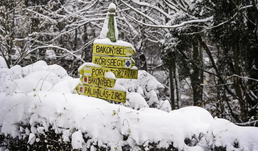 Hotel Sz�palma Porva-Sz�palmapuszta - Nyugd�jas kedvezm�nyes �rak (1 �jt�l)