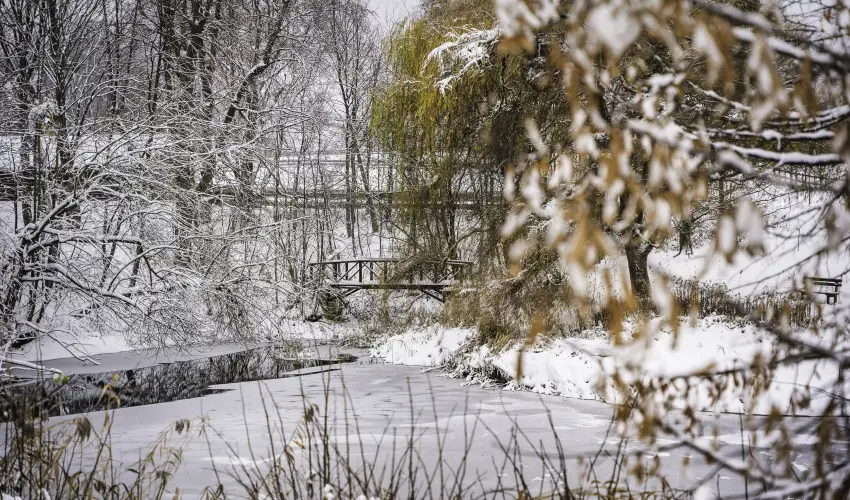 Hotel Sz�palma Porva-Sz�palmapuszta - Nyugd�jas kedvezm�nyes �rak (1 �jt�l)