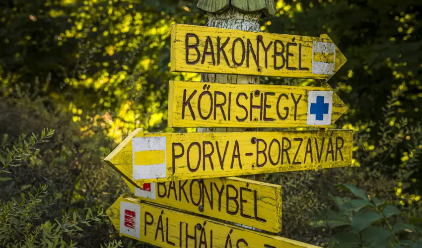 Hotel Sz�palma Porva-Sz�palmapuszta - Nyugd�jas kedvezm�nyes �rak (1 �jt�l)