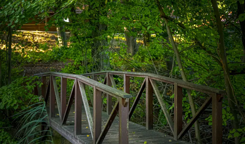 Hotel Sz�palma Porva-Sz�palmapuszta - Nyugd�jas kedvezm�nyes �rak (1 �jt�l)