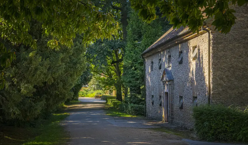 Hotel Sz�palma Porva-Sz�palmapuszta - Nyugd�jas kedvezm�nyes �rak (1 �jt�l)