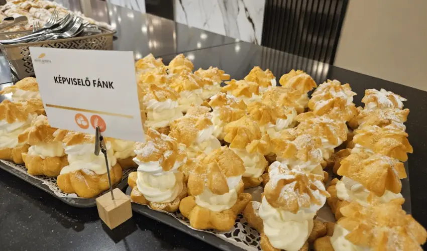 Hotel Szieszta Sopron - Nyugdíjas kedvezményes árak félpanzióval, fürdőbelépővel (1 éjtől)