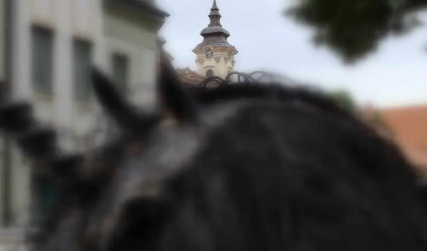 Hotel Unicornis Eger - Nyugdjas kedvezmnyes rak reggelis elltssal (1 jtl)