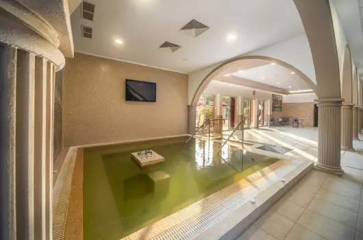 Terml Hotel Vesta - Kikapcsolds flpanzis elltssal (1 jtl)
