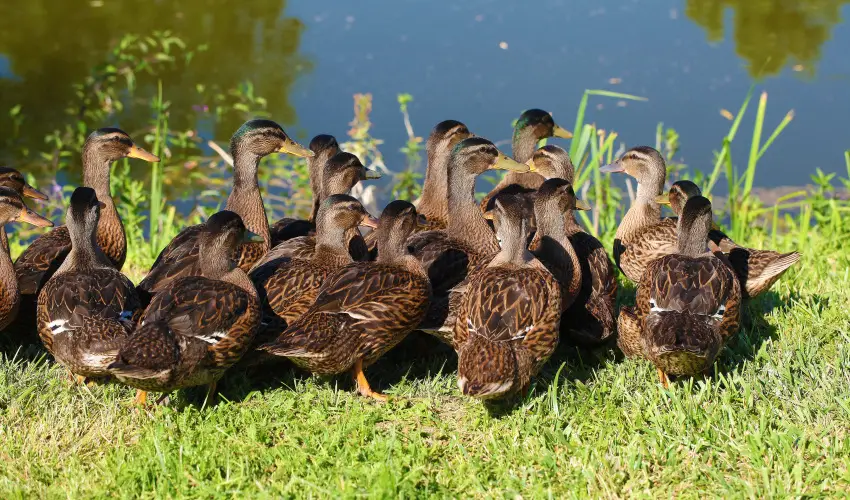 Termál Hotel Vesta Tápiószecső - Kikapcsolódás félpanziós ellátással (1 éjtől)