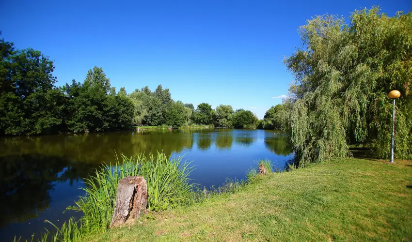 Termál Hotel Vesta Tápiószecső - Kikapcsolódás félpanziós ellátással (1 éjtől)