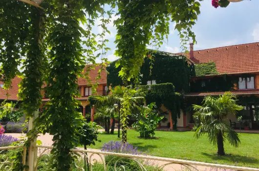 Hotel Vinum Wellness �s Konferencia Hotel - Nyugd�jas kedvezm�nyes �rak reggelivel (1 �jt�l)