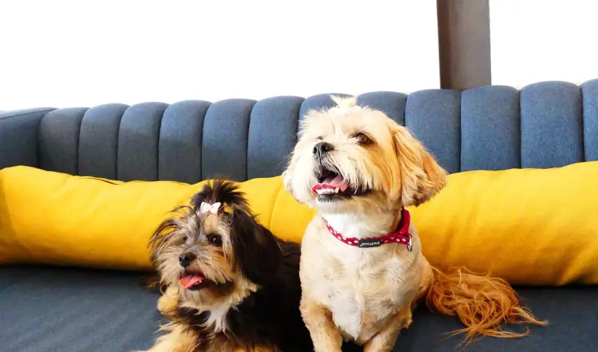 Hotel Yacht Wellness & Business Si�fok - Senior aj�nlat (1 �jt�l)