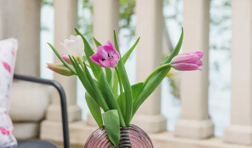 Hotel Anna Villa Balatonfldvr - Kedvez ajnlat (1 jtl)