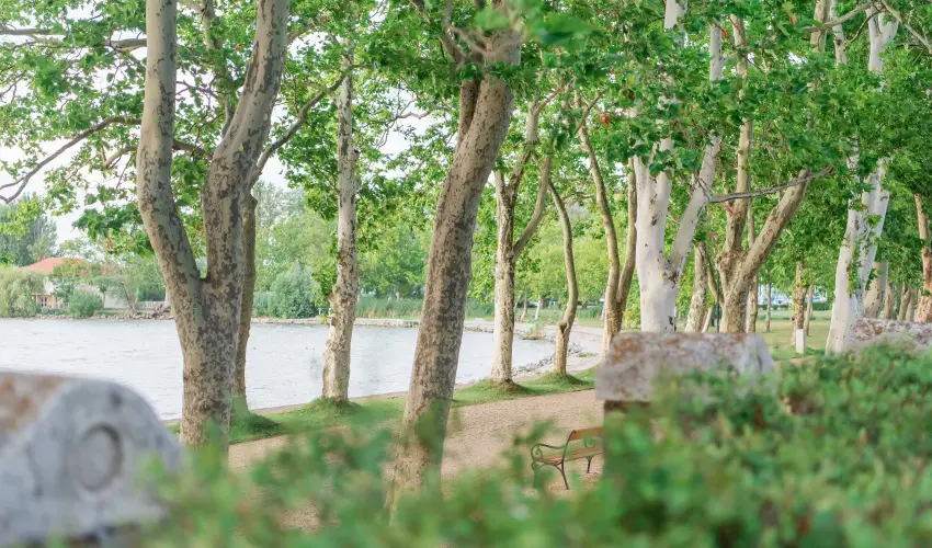 Hotel Anna Villa Balatonfldvr - Kedvez ajnlat (1 jtl)