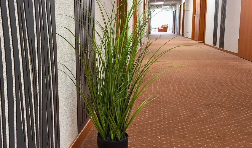 Hungarospa Thermal Hotel Hajdúszoboszló - Prémium nyár fürdőbelépővel (min. 2 éj)