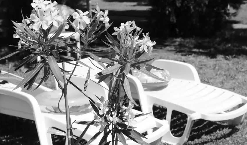 Hotel Hforrs Hajdszoboszl - 4=5 akci