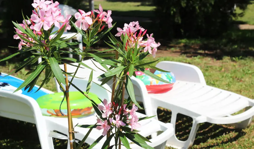 Hotel Hőforrás Hajdúszoboszló - Hőforrás napok (min. 5 éj)