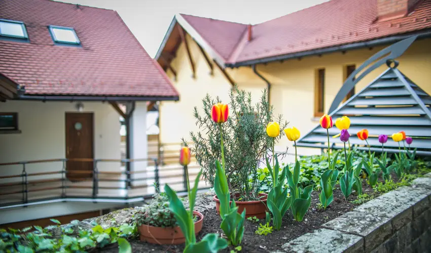 Imola Udvarhz Eger - Nyugdjas kedvezmnyes rak reggelis elltssal (1 jtl)