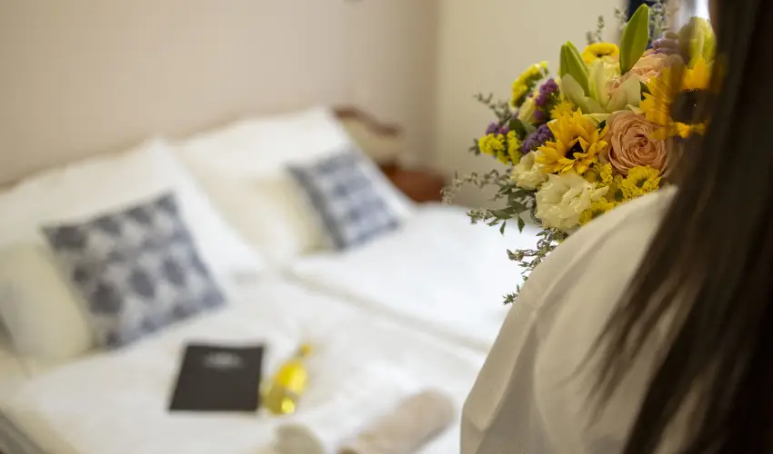 Hotel Imperial Gyógyszálló Kiskőrös - Nyugdíjas kedvezményes árak reggelis ellátással (1 éjtől)