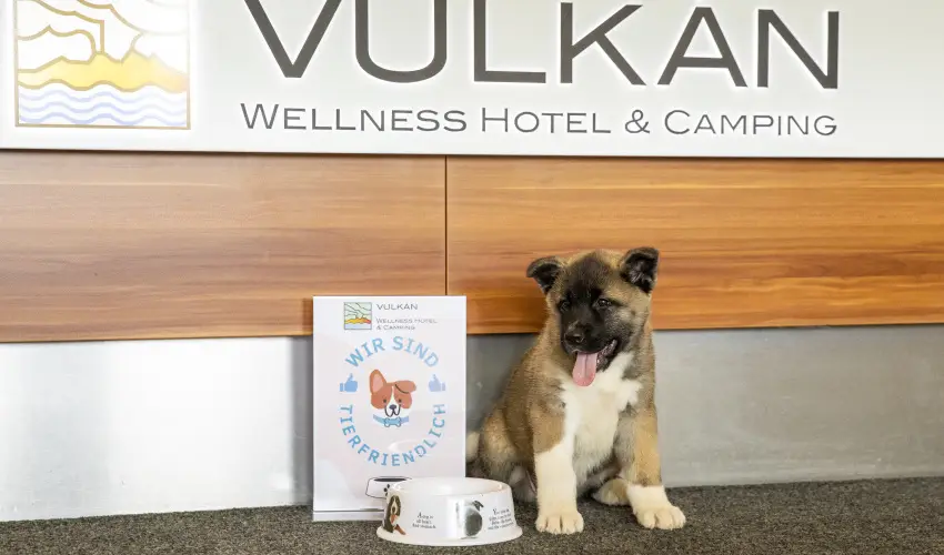 Vulkán Wellness Hotel és Kemping Celldömölk - Nyugdíjas kedvezményes ár félpanzióval, fürdőhasználattal (min. 4 éj)