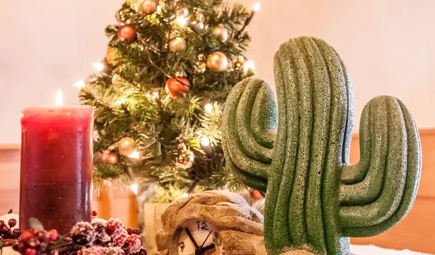 Kaktusz Villa H�v�z - Term�lf�rd� bel�p�s el�szezoni aj�nlat (min. 2 �j)