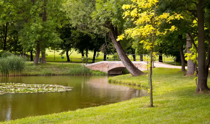 Krolyi Kastly Hotel & Restaurant  Fehrvrcsurg - Kedvezmnyes szobar flpanzival (min. 2 j)