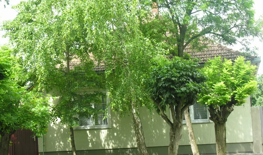 Lelkesh�z Szarvas - Nyugd�jas kedvezm�nyes �rak (1 �jt�l)