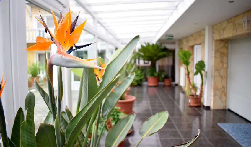 L�dia Hotel Hark�ny Hark�ny - Nyugd�jas kedvezm�nyes �rak reggelis ell�t�ssal (min. 2 �j)