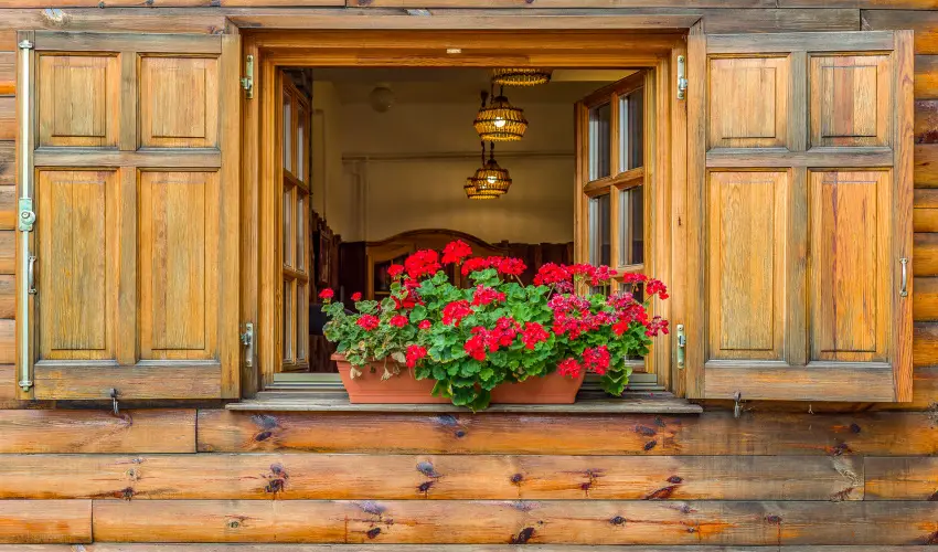 Lipicai Hotel Szilv�sv�rad - Nyugd�jas kedvezm�nyes �rak (1 �jt�l)