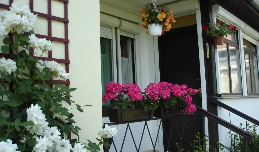 Liza Apartman Gyula - Legjobb r (min. 2 j)