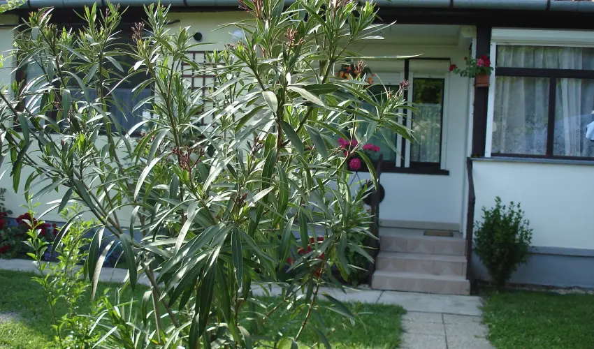 Liza Apartman Gyula - Legjobb r (min. 2 j)