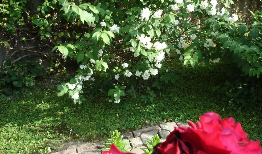 Liza Apartman Gyula - Legjobb r (min. 2 j)