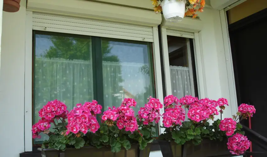 Liza Apartman Gyula - Legjobb r (min. 2 j)