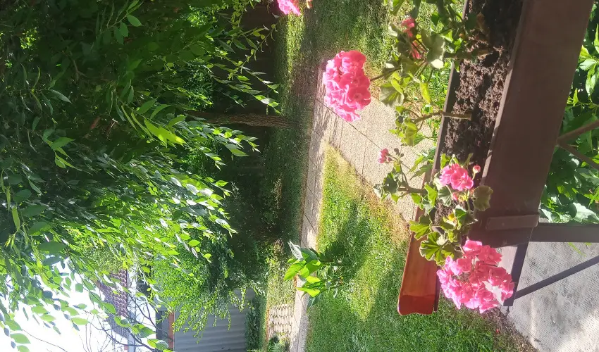 Liza Apartman Gyula - Legjobb r (min. 2 j)