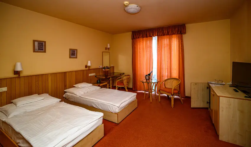 Martf� Hotel Thermal SPA Martf� - Standard �r reggelis ell�t�ssal (1 �jt�l)