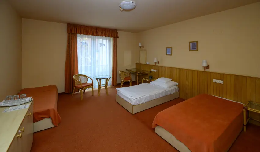 Martf� Hotel Thermal SPA Martf� - Standard �r reggelis ell�t�ssal (1 �jt�l)