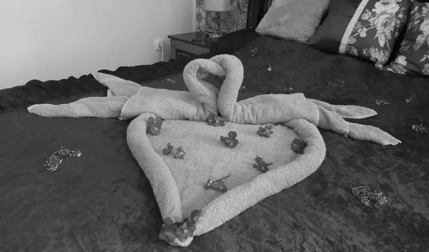 Meller Kastly Villa Csurg - Nyugdjas ajnlat a kastlyban (min. 2 j)