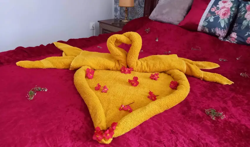 Meller Kastly Villa Csurg - Nyugdjas ajnlat a kastlyban (min. 2 j)