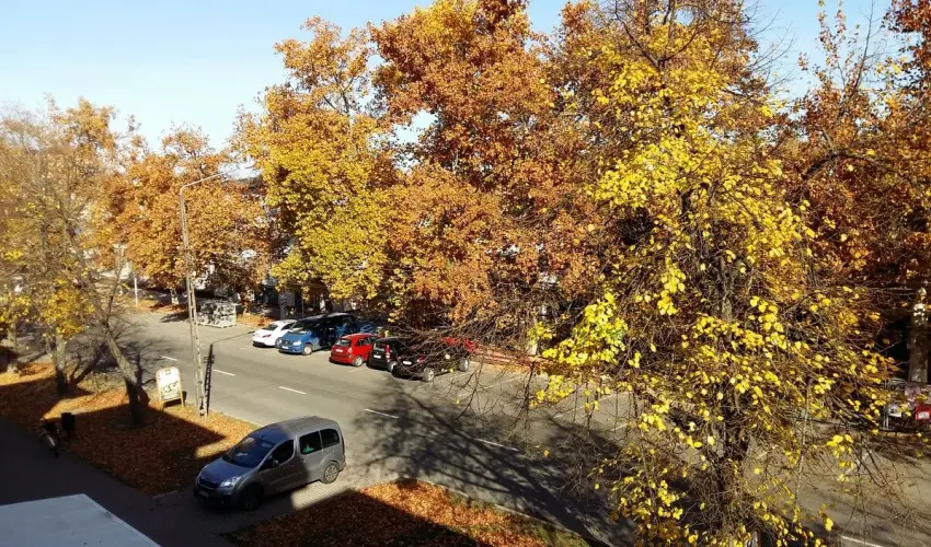 Napsugár Kenézy Lux Apartman Vendégházak Hajdúszoboszló - Pihenés Hajdúszoboszlón