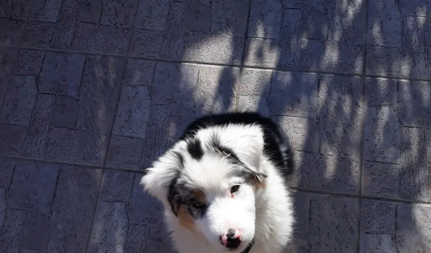 Napsugár Kenézy Lux Apartman Vendégházak Hajdúszoboszló - Pihenés Hajdúszoboszlón