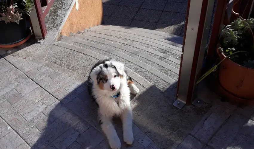 Napsugár Kenézy Lux Apartman Vendégházak Hajdúszoboszló - Pihenés Hajdúszoboszlón