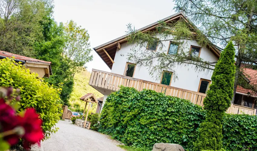 ko-Park Panzi Szarvask - Nyugdjas kedvezmnyes rak reggelis elltssal (1 jtl)