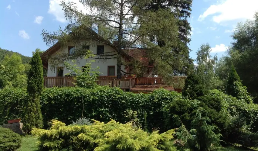 ko-Park Panzi Szarvask - Nyugdjas kedvezmnyes rak reggelis elltssal (1 jtl)