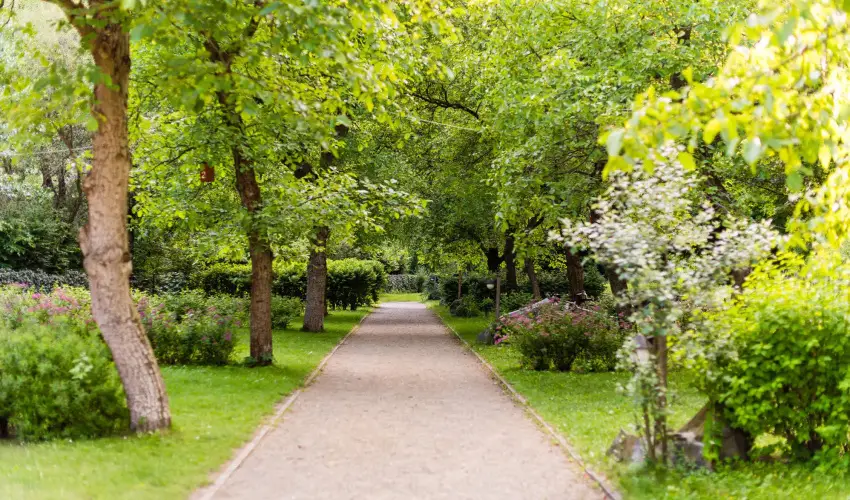 ko-Park Panzi Szarvask - Nyugdjas kedvezmnyes rak reggelis elltssal (1 jtl)