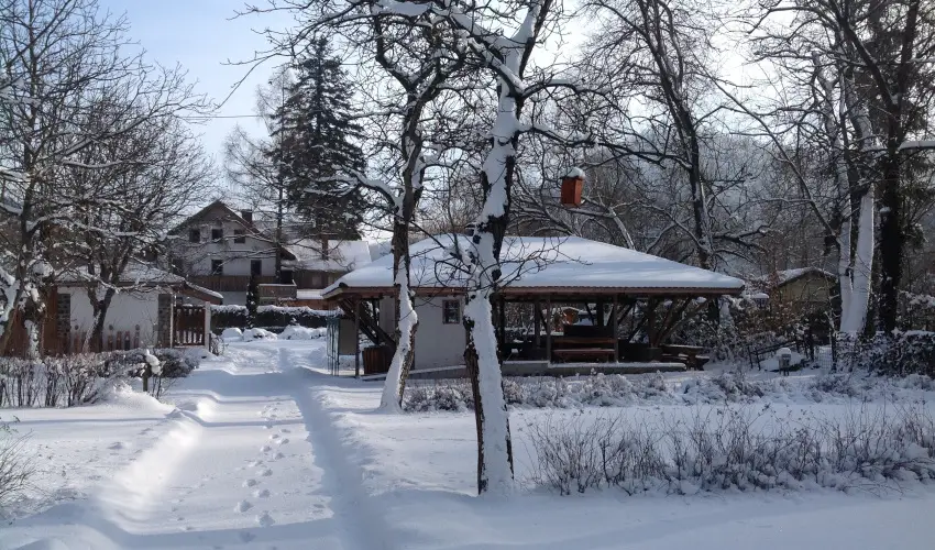 ko-Park Panzi Szarvask - Nyugdjas kedvezmnyes rak reggelis elltssal (1 jtl)