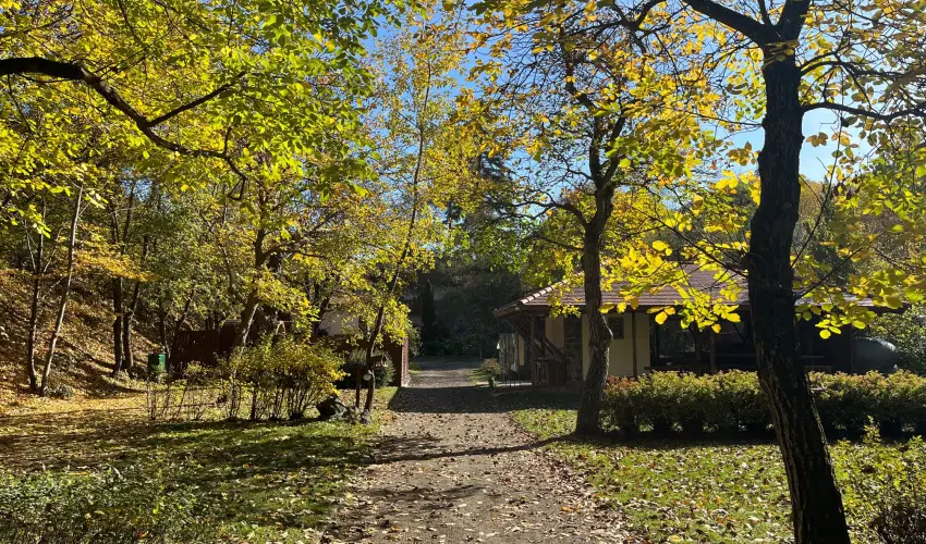 ko-Park Panzi Szarvask - Nyugdjas kedvezmnyes rak reggelis elltssal (1 jtl)