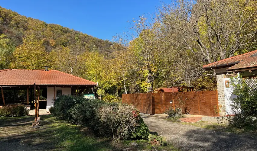 ko-Park Panzi Szarvask - Nyugdjas kedvezmnyes rak reggelis elltssal (1 jtl)