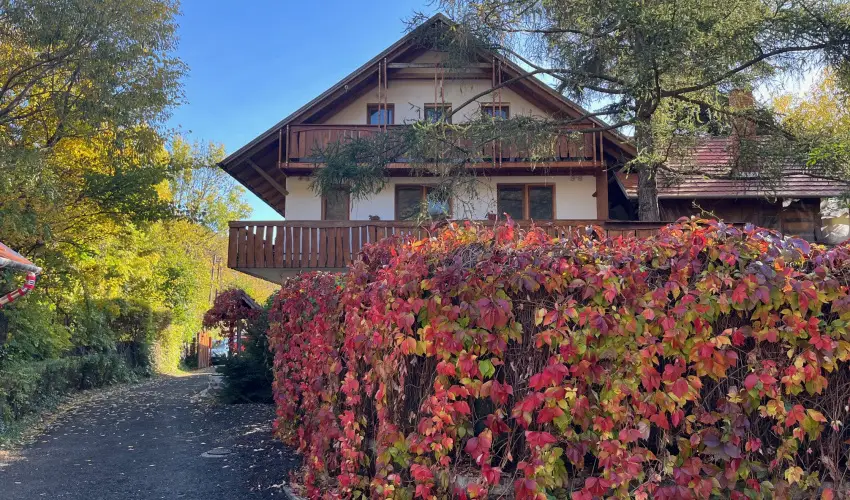 ko-Park Panzi Szarvask - Nyugdjas kedvezmnyes rak reggelis elltssal (1 jtl)